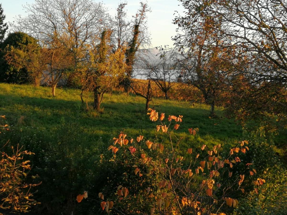 Haus Meersburg Garten Екстериор снимка
