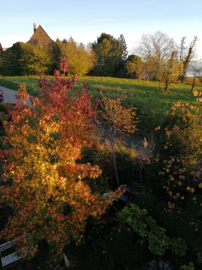 Haus Meersburg Garten Екстериор снимка