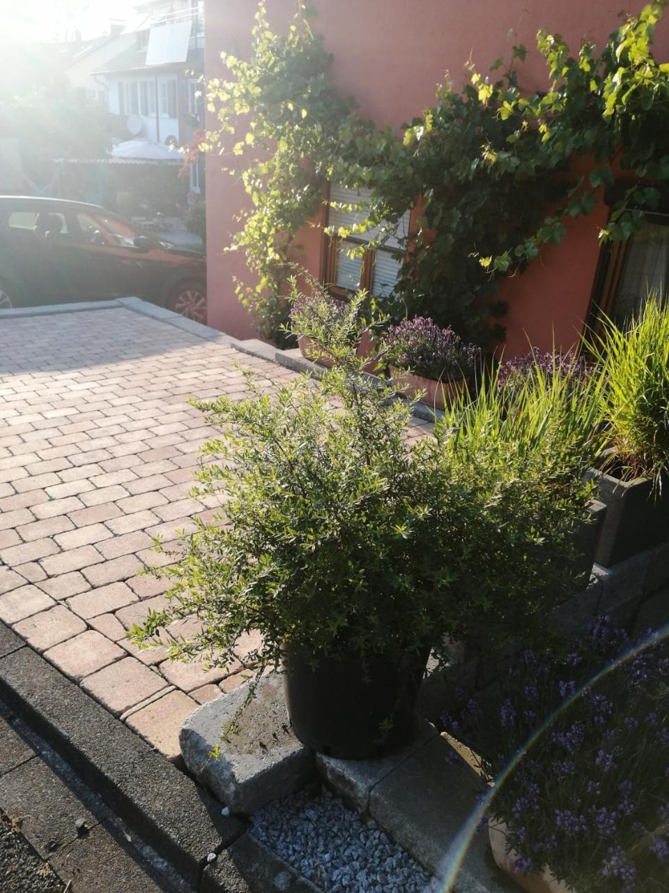 Haus Meersburg Garten Екстериор снимка