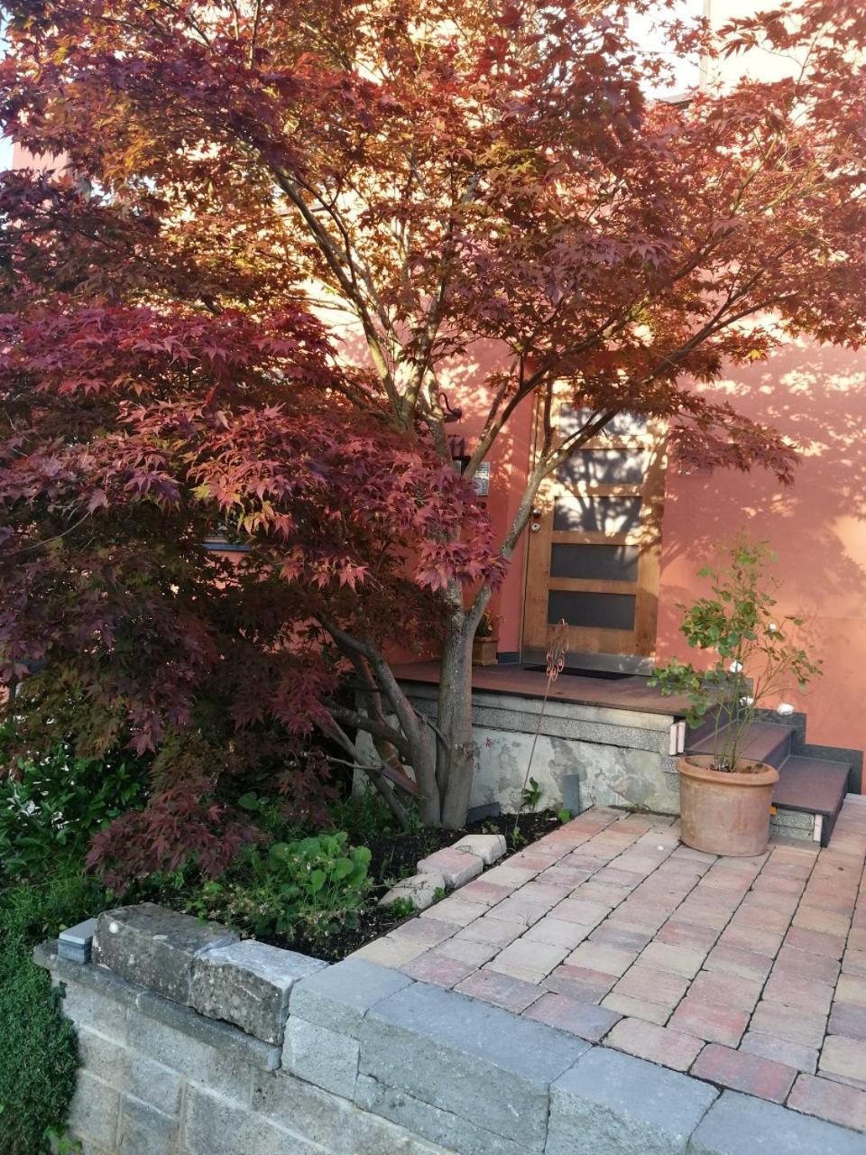 Haus Meersburg Garten Екстериор снимка
