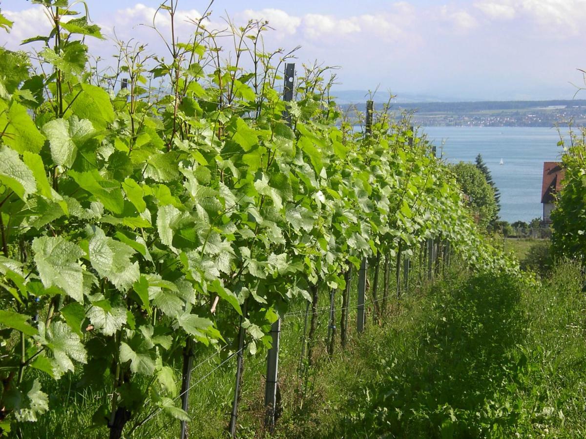 Haus Meersburg Garten Екстериор снимка