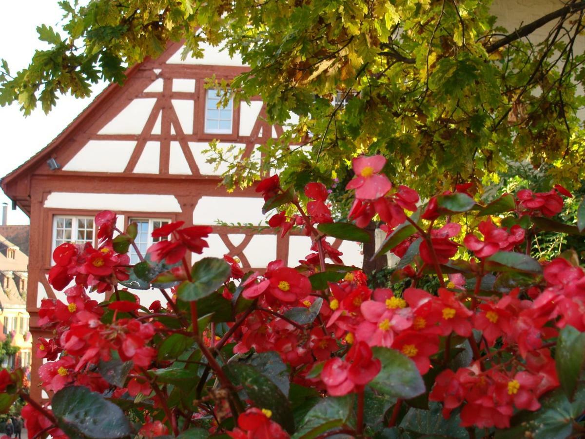 Haus Meersburg Garten Екстериор снимка